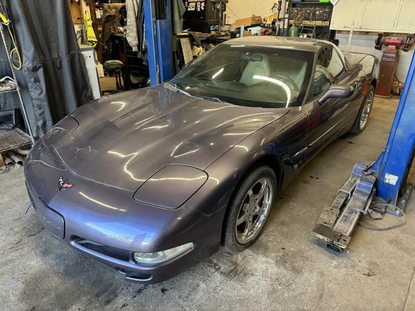 1997-04 C5 Corvette Targa Top Removable Roof Panel, Purple Pear 95U, Nice! - OEM23