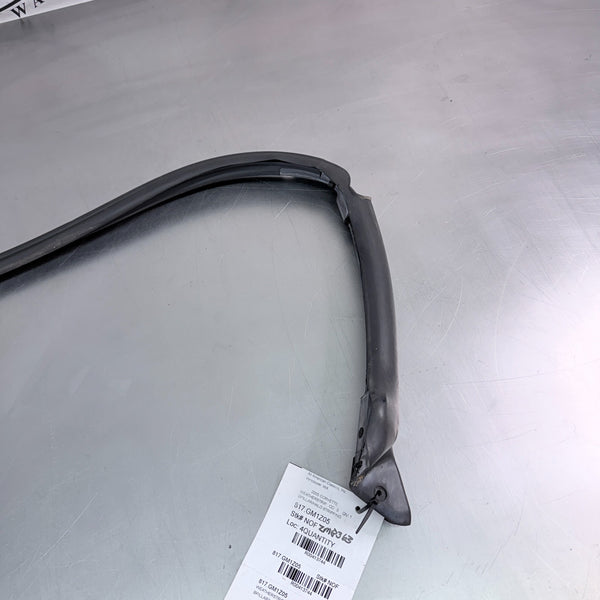 2005-13 C6 Corvette Upper B-Pillar / Roof Halo Weather Stripping - OEM2