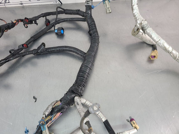 2013 C6 Corvette LS3 / TR6060 Dry Sump Engine Wiring Harness, w/ F55 Wiring3