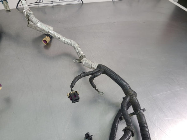 2013 C6 Corvette LS3 / TR6060 Dry Sump Engine Wiring Harness, w/ F55 Wiring7