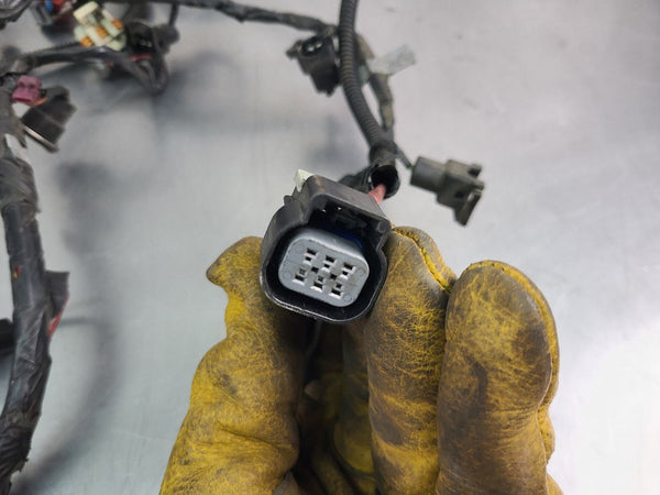 2001 C5 Corvette LS1 / 4L60E Engine Wiring Harness, MODIFIED FOR LS2 MAF!!11