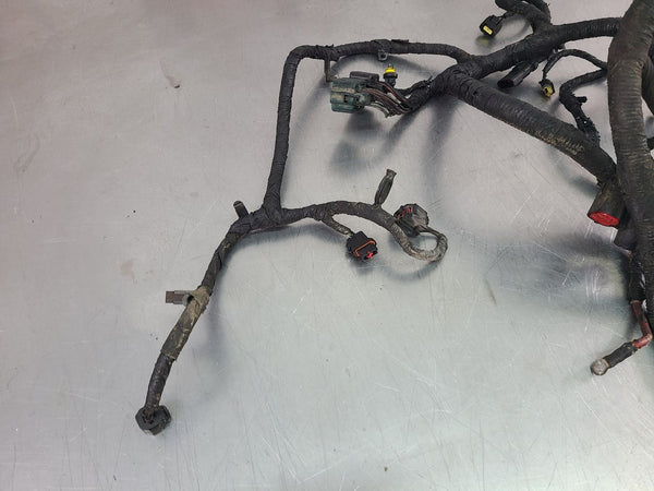 2006 Ford F250 Super Duty 6.0L Diesel Engine Wiring Harness, Auto Trans - OEM1
