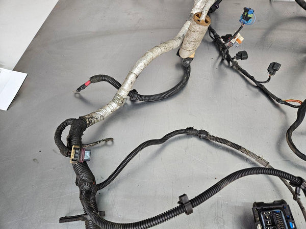 2007 C6 Corvette LS2 / 6L80E Engine Wiring Harness, Without F55! - OEM8