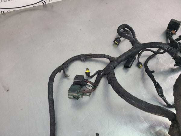 2006 Ford F250 Super Duty 6.0L Diesel Engine Wiring Harness, Auto Trans - OEM2