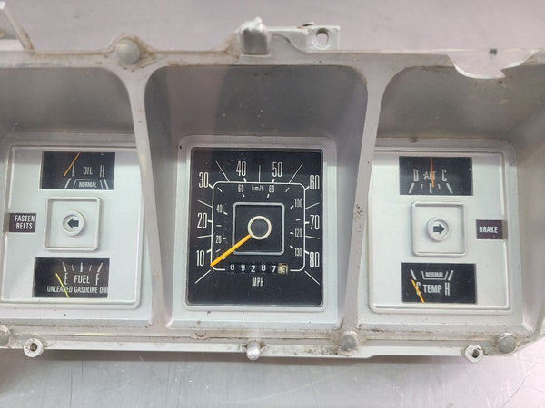 1973-1979 F-Series, 1978-1979 Ford Bronco Instrument Gauge Cluster Assembly, OEM5