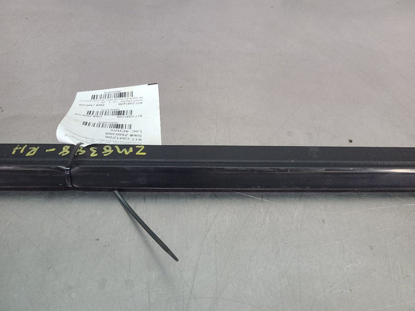 2005-13 C6 Corvette Exterior Door Belt Moulding / Stripping, Right Passenger, RH3