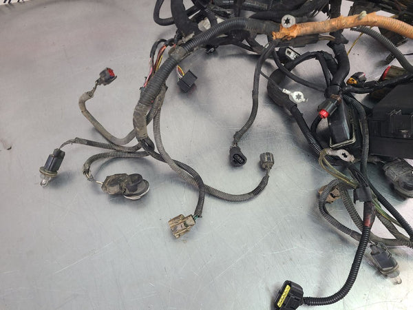 2006 Ford F250SD 6.0L Front Engine Bay / Lamp Wiring Harness - OEM1