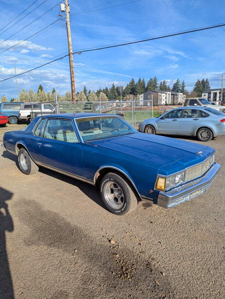 1979 Chevrolet C10 Stepside, Stock148582