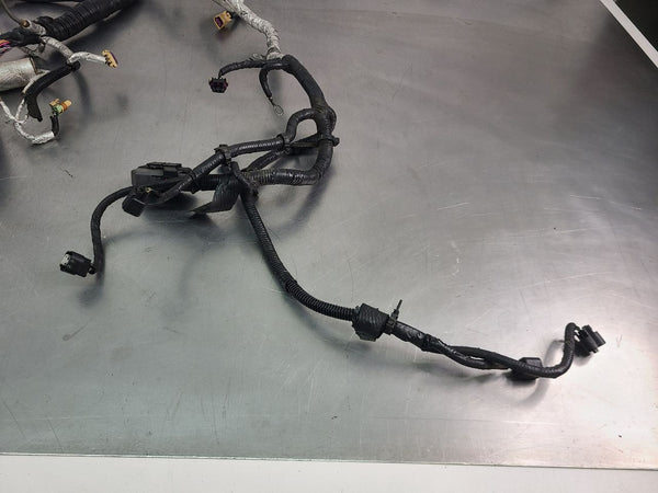 2013 C6 Corvette LS3 / TR6060 Dry Sump Engine Wiring Harness, w/ F55 Wiring8