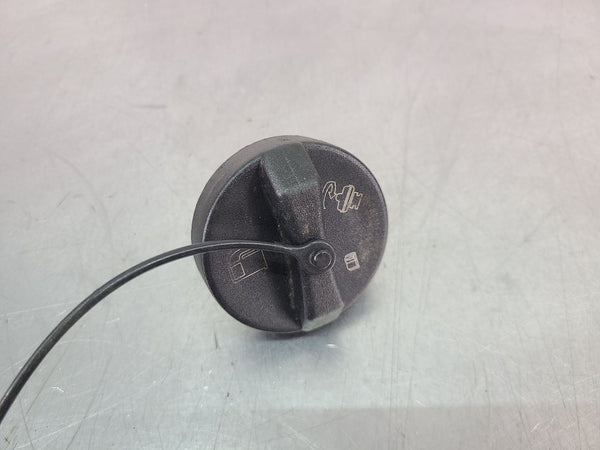2004-06 GTO Exterior Fuel Filler Door Assembly, Quicksilver - OEM4